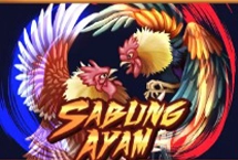 Sabung Ayam