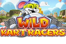 Wild Kart Racers